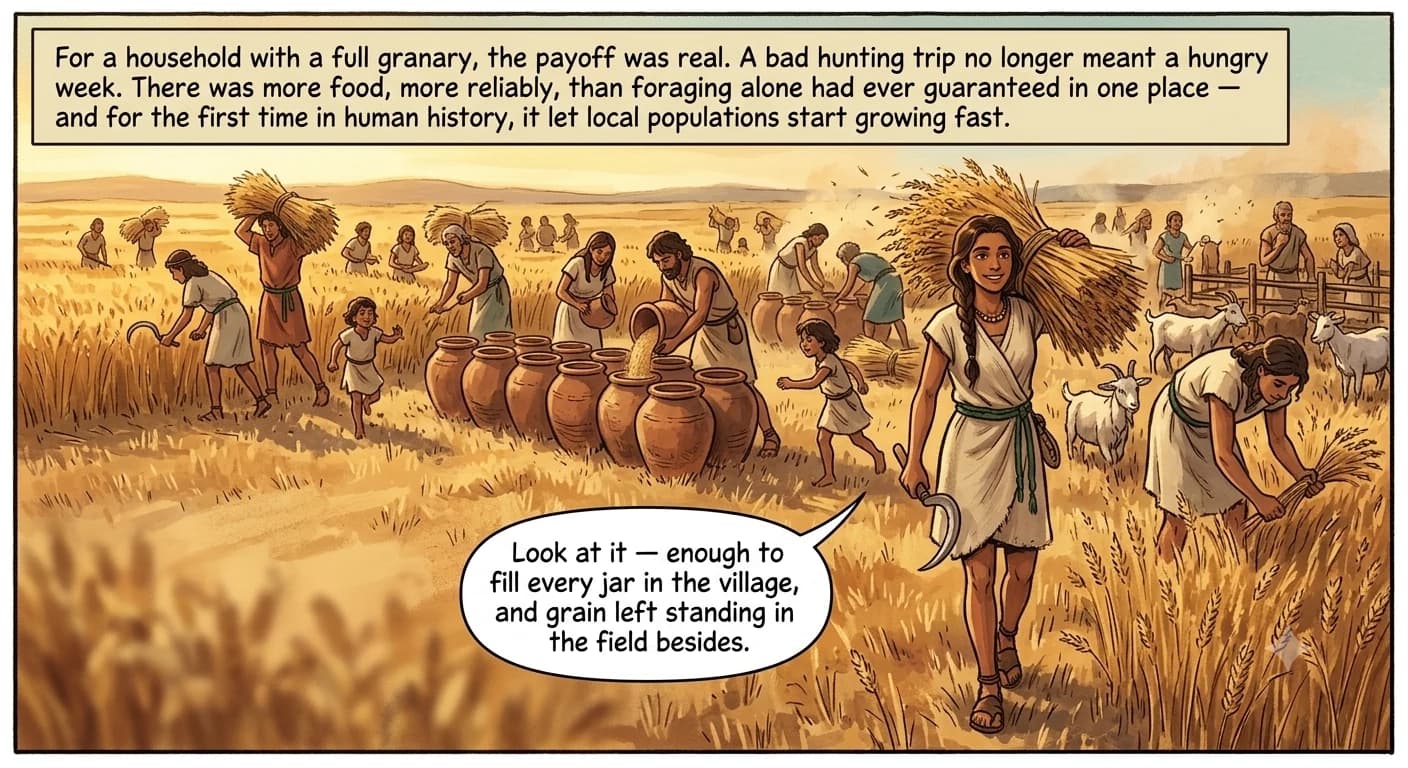 A whole Neolithic village harvests grain together at golden hour, carrying bundled sheaves and filling storage jars, children running between the workers and goats penned nearby.